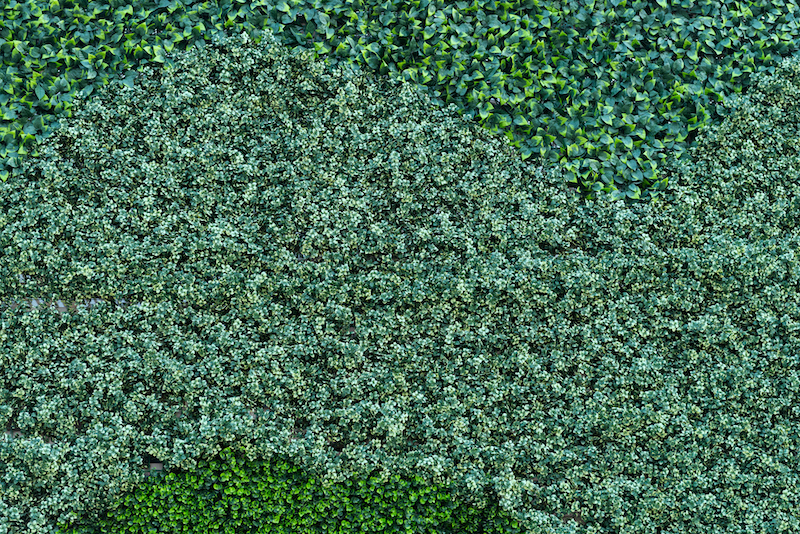 Muro de follaje artificial de alta calidad Ahome